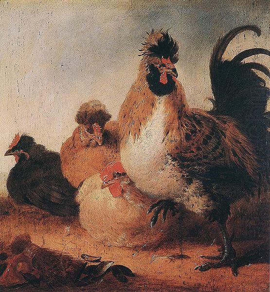 Aelbert Cuyp Rooster china oil painting image